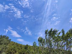 -大青山野生动物园