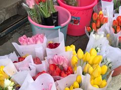 -循礼门鲜花花市(武汉循礼门店)