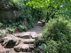 -阳台山自然风景区