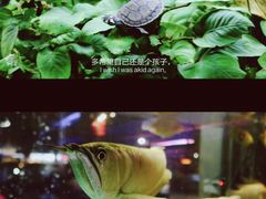 -登良(地铁站)
