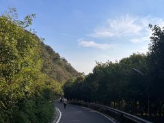 -树山生态村