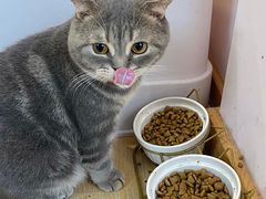 -猫咪派对(江南西店)