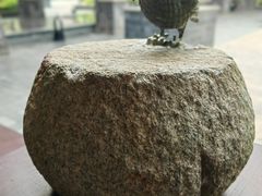 -海南清水湾莱佛士酒店