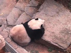-济南野生动物世界