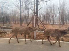 -秦皇岛野生动物园