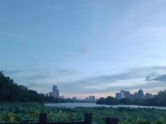 -南宁南湖公园