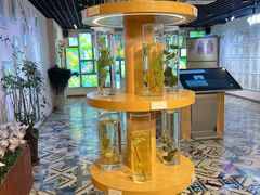 -新疆国际大巴扎