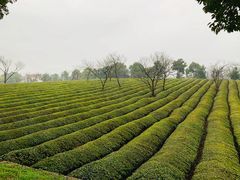 -敬亭山风景名胜区