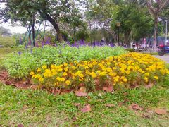 -东莞植物园