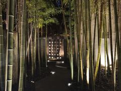 -穹六人间 people 6(岳阳路店)