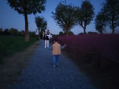 -汉长安城未央宫国家考古遗址公园