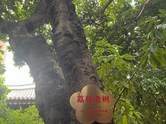 -福州开元寺