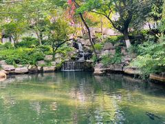 -趵突泉景区