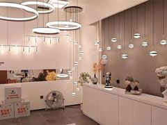 -张士灯具城(家居优选店)