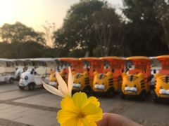 -石湖景区