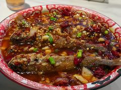 -欧记大排档·景德菜(上海首店)