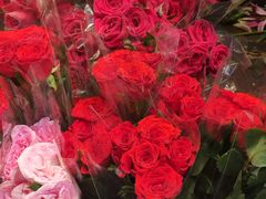 -循礼门鲜花花市(武汉循礼门店)