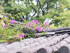 -丽江花间堂·隐泉院