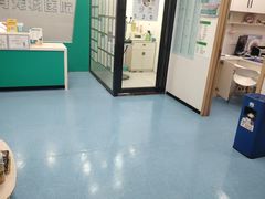 -博特宠物医院24h犬猫全科.骨科·异宠