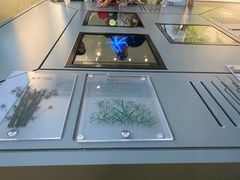 -鸿山遗址博物馆
