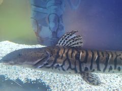 -常州海昌海洋探索馆