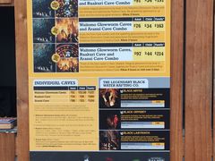 -怀托摩萤火虫洞