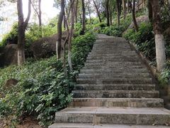 -火炉山森林公园