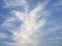 -1点点(河南中路店)