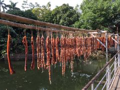 -水库河鲜村