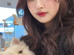 -怪兽屋·羊驼·猫咖·狗咖(俊华广场店)