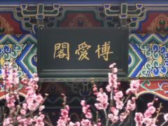 -梅花山(明孝陵内)