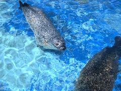 -太平洋海底世界