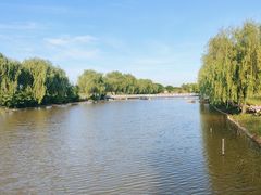 -漩门湾国家湿地公园