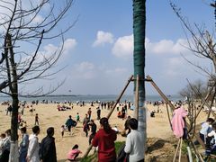 -瑶湖郊野森林公园