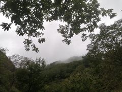 -秦岭风景区