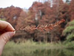-华南国家植物园-售票处