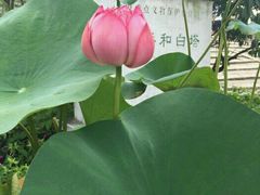 -董永七仙女文化园