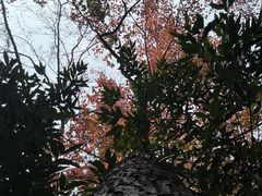-白云山风景名胜区