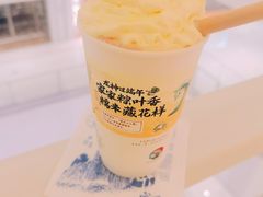 -茶颜悦色(岳麓山顶店)