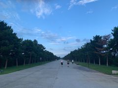 -汉长安城未央宫国家考古遗址公园