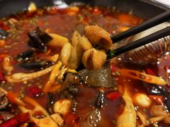 -黑竹香鸡(营和巷店)