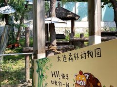 -大连森林动物园