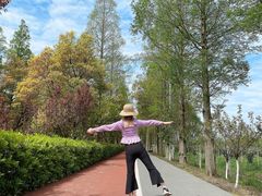 -上海长兴岛郊野公园