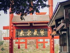 -磁器口古镇