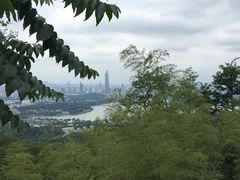 -紫金山天文台