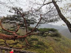 -五女峰国家森林公园