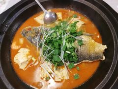 -农家大院(纪王店)