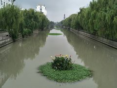 -乌村