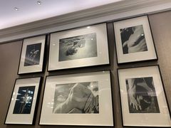 -PAUL LAFAYET 法式甜品(港汇广场店)