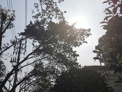 -老幺泉水鸡